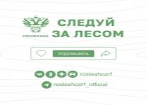 Следуй за лесом Следуй за лесом