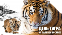 Как появился День тигра