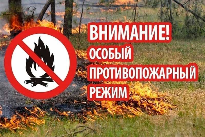 Введен особый противопожарный режим на землях лесного фонда Чугуевского округа.