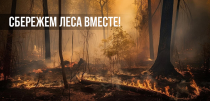 Уважаемые приморцы!