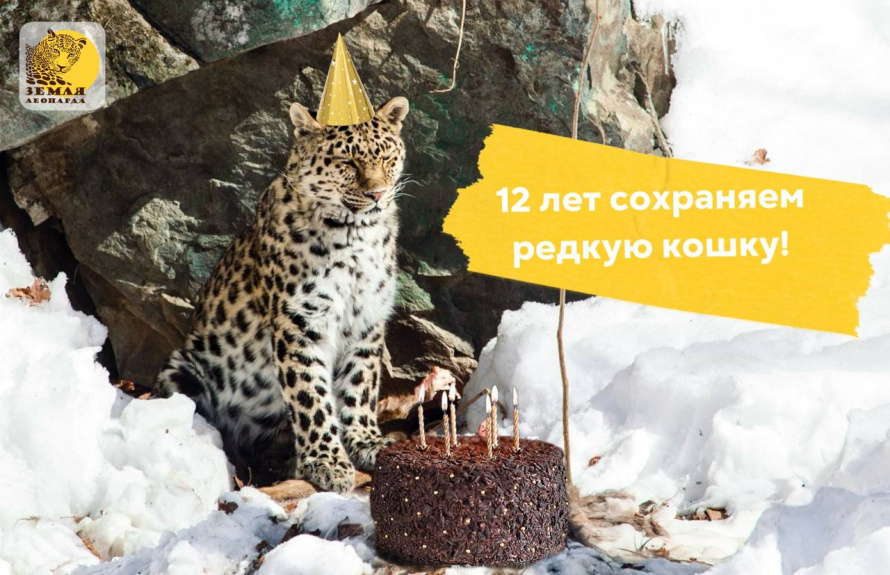 Земля леопарда