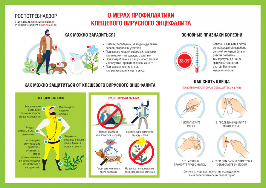Территориальный отдел Управления Роспотребнадзора по Приморскому краю в г. Арсеньеве информирует население, 