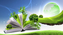 26 января Всемирный день экологического образования. Важность экологического образования переоценить сложно.