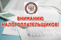 Налоговым органом (Межрайонной инспекцией ФНС России №10 по Приморскому краю)   