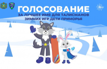 Мира и Олимп, Ураган и Молния: приморцев приглашают проголосовать за имена талисманов спортивных игр «Дети Приморья»