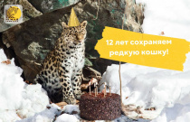 Земля леопарда