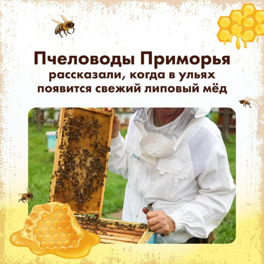 Старт медового сезона 2025!