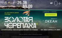 «Золотая черепаха» стартует в Приморье уже завтра «Золотая черепаха» стартует в Приморье уже завтра