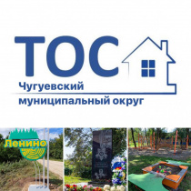 5 ТОС Чугуевского округа воплотят свои проекты в жизнь с помощью краевого гранта 