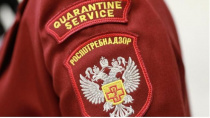 День открытых дверей для предпринимателей