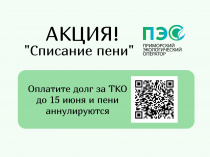 Акцию по списанию пени проводит КГУП "Приморский экологический оператор"