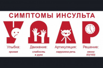 «УДАРное окно спасения — Приморье против инсульта»