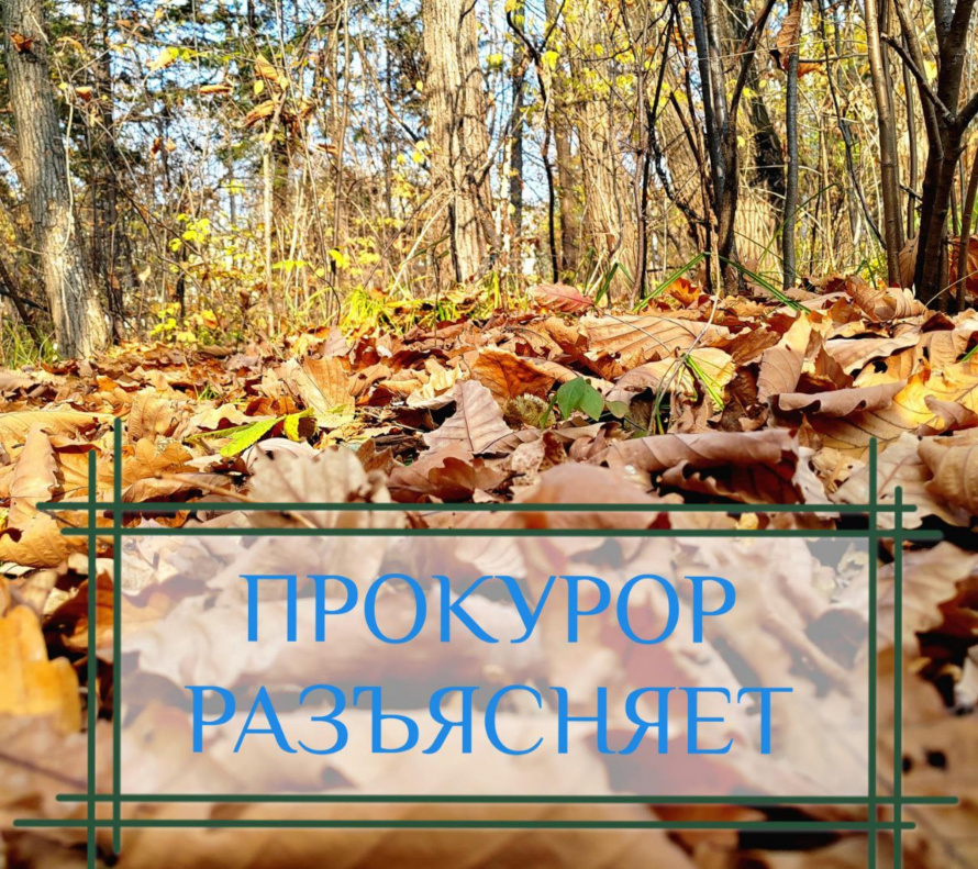 Порядок обращения с медицинскими отходами класса «А» в части передачи их региональному оператору по обращению с твердыми коммунальными отходами