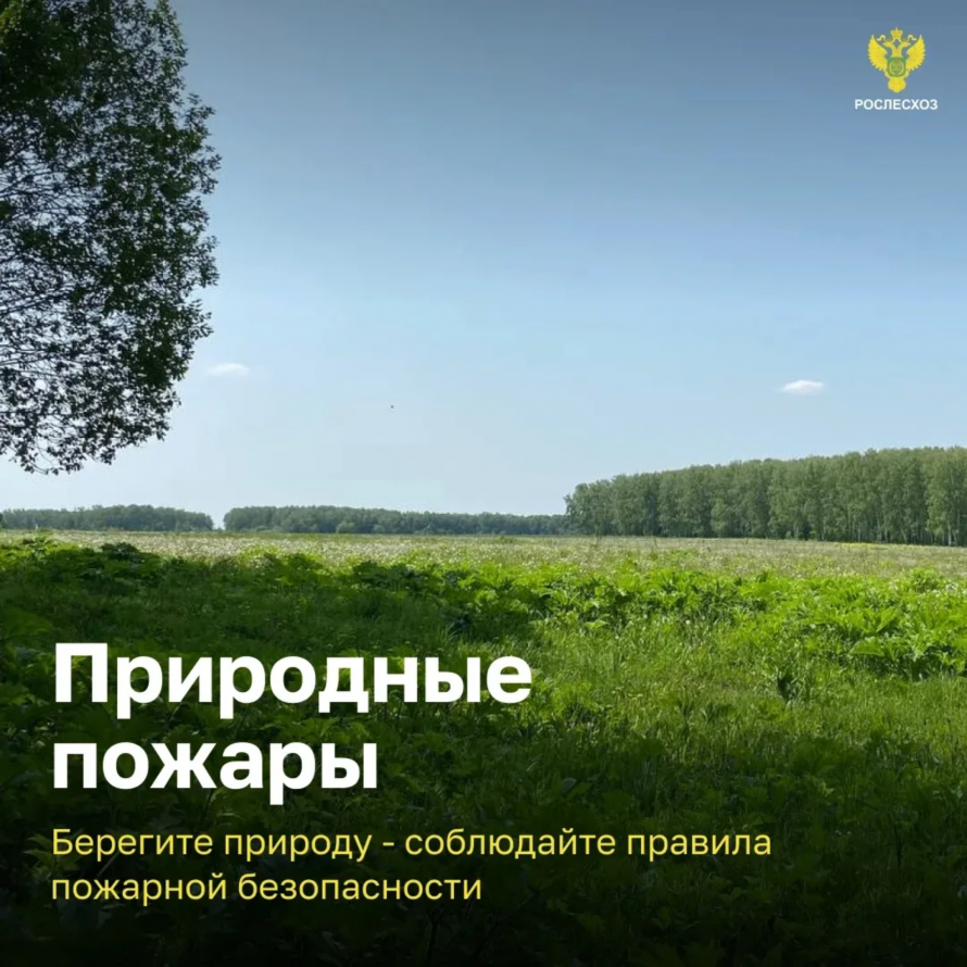 Берегите лес!