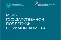 Приморье предлагает 94 меры поддержки для бизнеса. МЕРЫ ПОДДЕРЖКИ