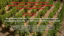 Нарушение требований лесого законодательства по воспроизводству лесов и лесоразведению Нарушение требований лесого законодательства по воспроизводству лесов и лесоразведению
