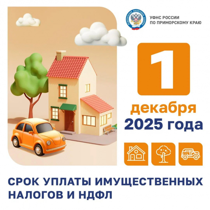 Время платить по счетам: налоги за 2024 год ждут вас до 1 декабря 2025 года