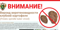 Вироид веретеновидности клубней картофеля