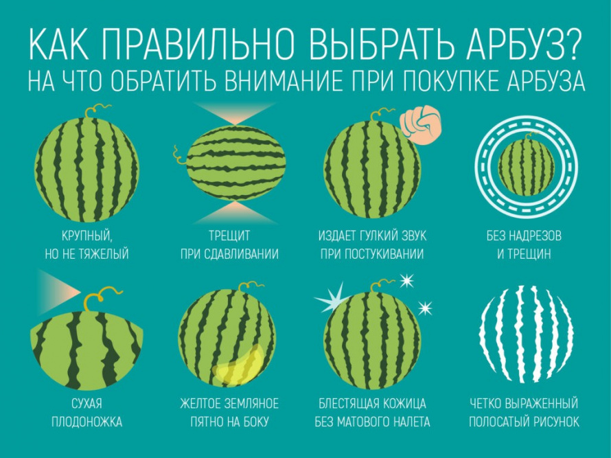 Как выбрать качественный арбуз, где его покупать, как мыть и хранить.