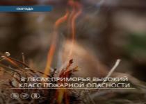 С 15 по 17 мая на юге центральных районов Приморского края сохранится 4 (высокий) класс пожарной опасности в лесах по метеоусловиям С 15 по 17 мая на юге центральных районов Приморского края сохранится 4 (высокий) класс пожарной опасности в лесах по метеоусловиям