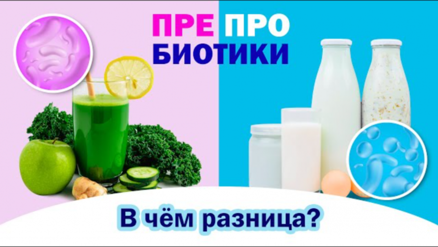 Пребиотики и пробиотики: разобраться и найти отличия