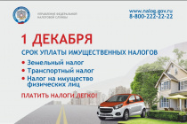 Если не получили налоговое уведомление по имущественным налогам физических лиц