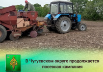 В Чугуевском округе продолжается посевная компания. 