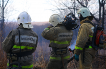 Два природных пожара потушили в Приморье за выходные