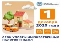 Время платить по счетам: налоги за 2024 год ждут вас до 1 декабря 2025 года