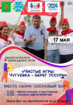 Чистые игры