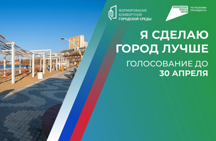 Меньше месяца осталось в Приморье до конца онлайн-голосования за объекты благоустройства-2024