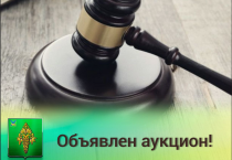 Администрацией Чугуевского муниципального округа объявлен аукцион! 
